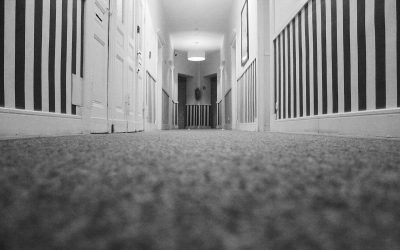 Why Choosing the Right Carpet Put You at the Advantage?