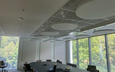 Are These Common Workplace Layouts Secretly Disrupting Employee Focus